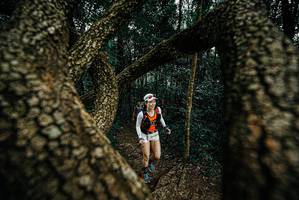 BIB: 
                            <button type="button" onclick="openModal(25674700)" class="btn btn-primary btn-sm float-right btn-popup" data-toggle="modal" data-target=".modal-high-quality">
                        <i class="fas fa-shopping-cart"></i> Add to Cart
                    </button>
                                            <button type="button" onclick="isThisMe(25674700, true)" class="btn btn-success btn-sm float-right btn-popup btn-isme hidden" data-toggle="tooltip" data-placement="bottom" title="นี่คือรูปของคุณใช่ไหม คลิกที่นี่เพื่อเอาเข้าอัลบั้ม">
                        <i class="fas fa-plus"></i> Add to album
                    </button>
                    <button type="button" onclick="isThisMe(25674700, false)" class="btn btn-warning btn-sm float-right btn-popup btn-isnotme hidden">
                        <i class="fas fa-ban"></i> Remove from album
                    </button>